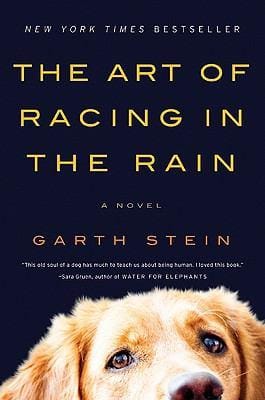 The Art of Racing in the Rain: A Deep Dive into Garth Stein’s Beloved Novel