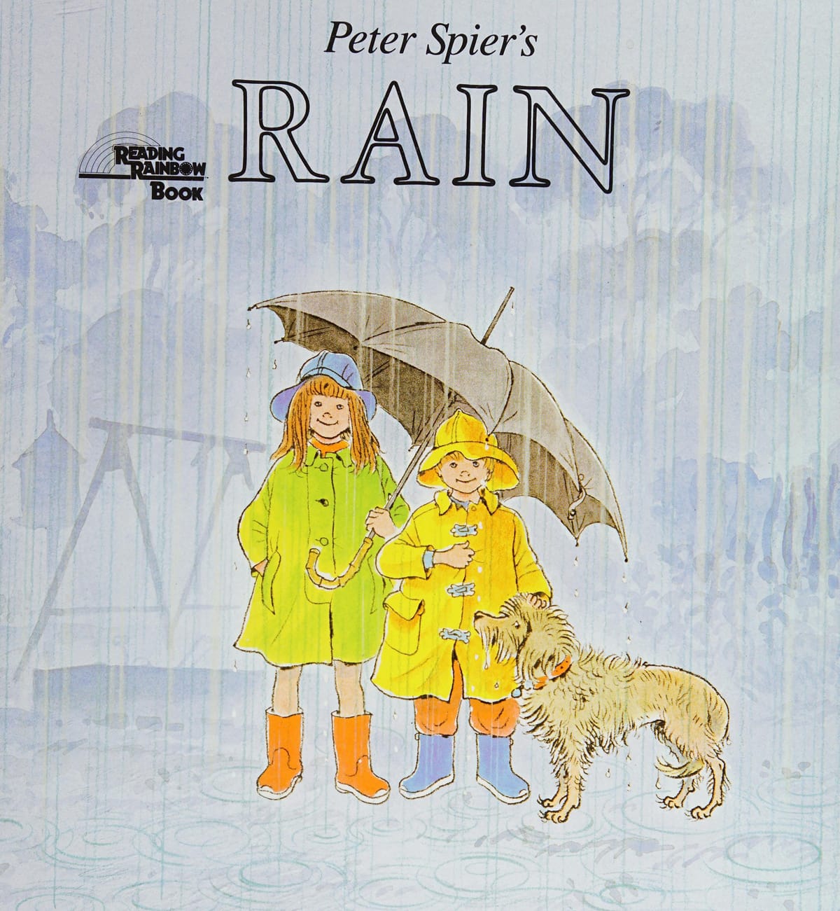 The Science and Serenity of Rain: Why We Love a Stormy Sky