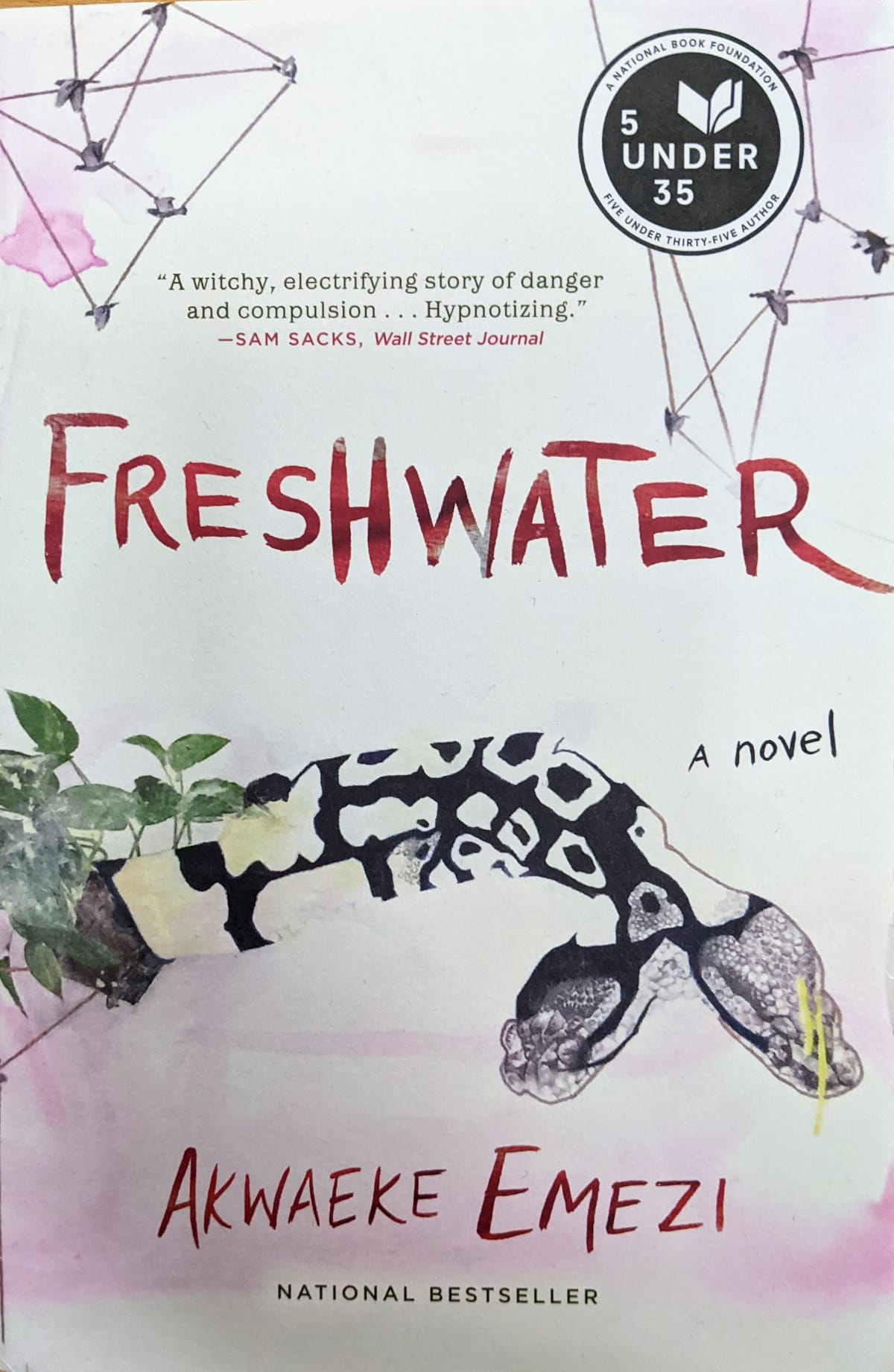 Understanding Freshwater: Importance, Threats, and Conservation