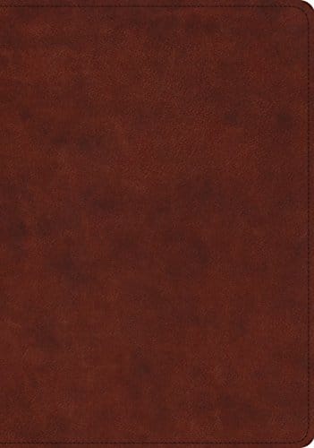 ESV Study Bible: A Trusted Companion for Deep Bible Study