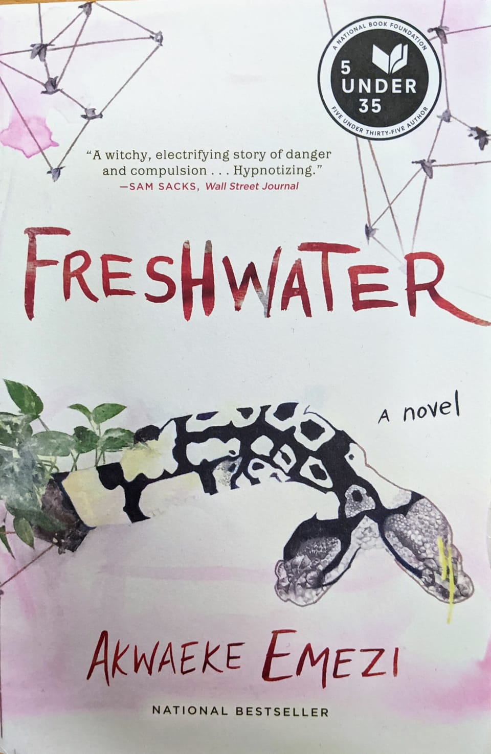 Understanding Freshwater: Importance, Threats, and Conservation